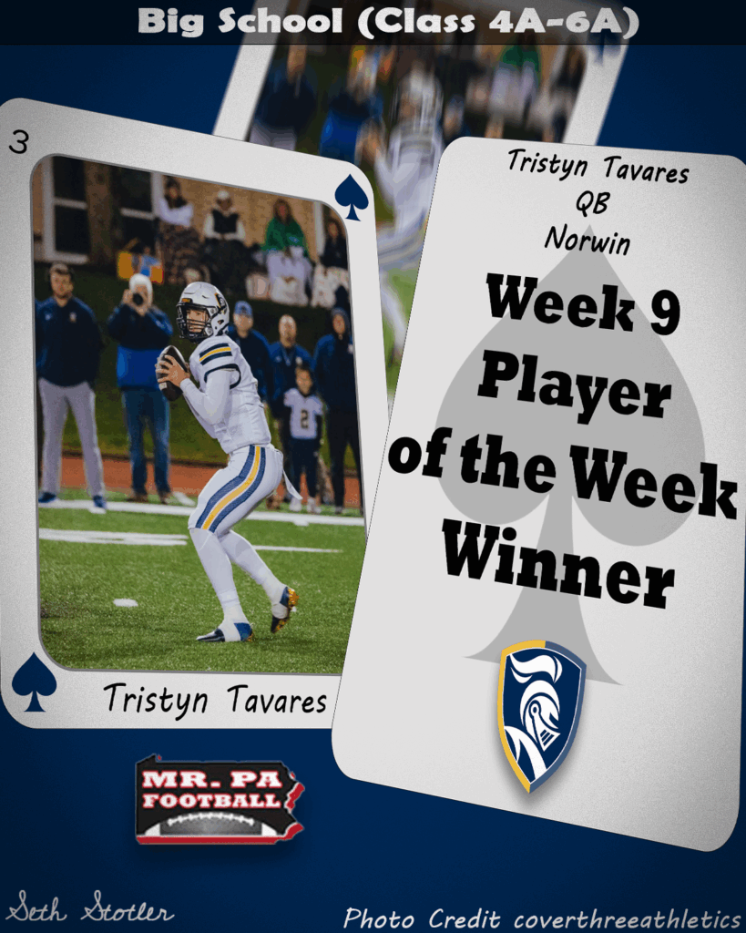 Week 9 Big School POW - Tristyn Tavares